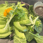 Best AVOCADO SALAD in Maple Valley, WA